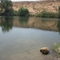 Camp Pashayan river access