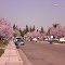 pink everywhere