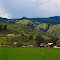 Spring time in Capay Valley