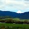 Spring time in Capay Valley