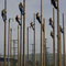 Lineman training facility