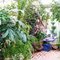 Alden Lane Nursery- Greenhouse