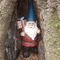 The Traveling Gnome at San Felasco Bike Trail