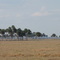 Ranch Country