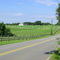 167th Street in Overland Park, KS