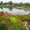 Overland Park Arboretum