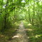 Blue River Trail