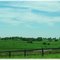 Northern Kentucky Countryside