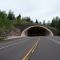 LaFayette Bluff Tunnel on MN Highway 61