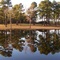 lake wilson