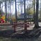Williams Day Camp