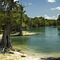 Santa Fe River Beach near Suwannee River