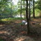 Santa Fe River FL, Campsite W of SR47