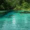Ichetucknee Springs