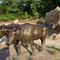 wagon train, life-size, clay/stone facade, clay/stone/bronze oxen, bronze oxen, and bronze woman with child, Pioneer Crossing Park,Shawnee,KS