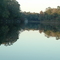A Glassy Suwannnee River in the Morning