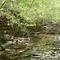Line Creek