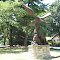 The Eagle