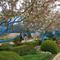tree trunks painted blue, Kauffman Memorial Garden, Kansas City, MO