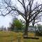 Stoney Hill Cemetary