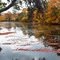 Godfrey Lake in the Fall