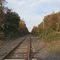 Tracks