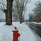 Hidrante Frio e Solitario