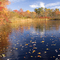 Forge Pond,Brick,NJ