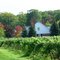 Niagara-on-the-lake - Vignoble