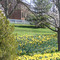 Mc Farland House front yard