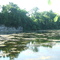 Blue Limestone Park
