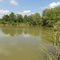 Delaware Ohio Wild Life Area Pond 29