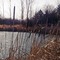 Delaware Wildlife Area