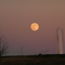 Piedmont Moonrise_01-03-2008