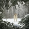 at home in the snow