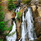 Douglas Falls