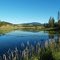 Hatch Lake