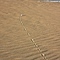 Chick's Beach Sand Trap
