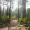 Trail, Palm Bluff Cons. Area