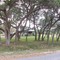 Pleasant Valley in Boerne, TX