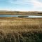 Wildlife Management Area