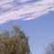 Sky 1