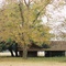 Gilchrist County Rural Scene
