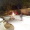 Empty Pool