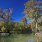 Otter Springs, Gilchrist Co.