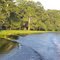 Suwannee