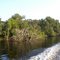 Suwannee
