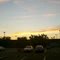 Fall Sunset