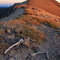 South of Tinker Knob with Tahoe Lake in distance