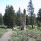 Donner Site